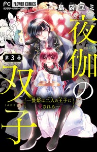 夜伽の双子―贄姫は二人の王子に愛される―【マイクロ】 (3) 電子書籍版