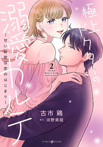 極上ドクターの溺愛カルテ～甘い秘密は恋のはじまり～ 2 電子書籍版