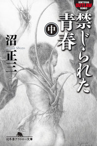 禁じられた青春(中) 電子書籍版