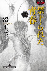 禁じられた青春(下) 電子書籍版