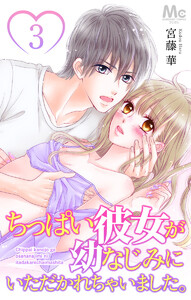 ちっぱい彼女が幼なじみにいただかれちゃいました。 (3) 電子書籍版