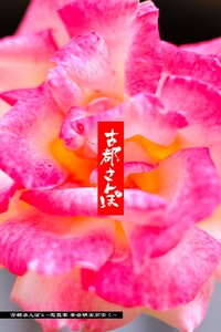 古都さんぽ4 ～写真家 茶谷明宏がゆく～ 電子書籍版