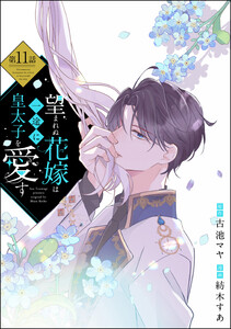 望まれぬ花嫁は一途に皇太子を愛す《フルカラー》(分冊版) 【第11話】 電子書籍版