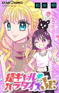 姫ギャル▼パラダイスJr. 【マイクロ】 (3) 電子書籍版