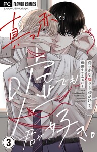 真っ赤な嘘でも君が好き。【マイクロ】 (3) 電子書籍版