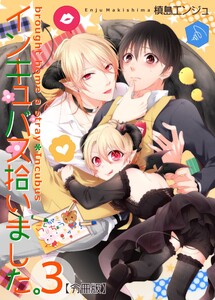 インキュバス拾いました。【分冊版】(3) 電子書籍版