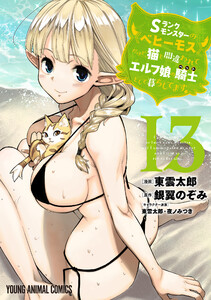 Sランクモンスターの《ベヒーモス》だけど、猫と間違われてエルフ娘の騎士(ペット)として暮らしてます (13) 電子書籍版