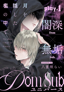 月を隠した檻の中で (1)