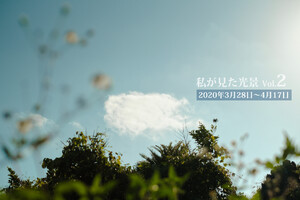 私が見た光景 vol.2 2020年3月28日～4月17日 電子書籍版