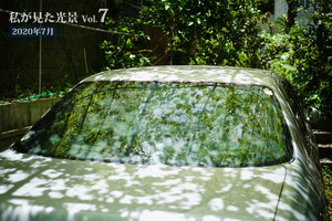 私が見た光景 vol.7 2020年7月 電子書籍版