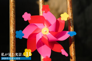 私が見た光景 vol.11 2020年11月～12月 電子書籍版