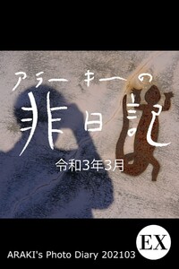 exアラーキーの非日記 令和3年3月 ARAKI’s Photo Diary 202103 電子書籍版