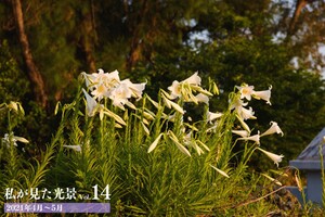 私が見た光景 vol.14 2021年4月～5月 電子書籍版