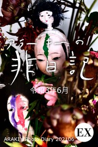 exアラーキーの非日記 令和3年6月 ARAKI’s Photo Diary 202106 電子書籍版