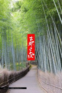 古都さんぽ13 ～写真家 茶谷明宏がゆく～ 撮影協力・嵐山コーディネーター:SUGANOSAWARA 電子書籍版