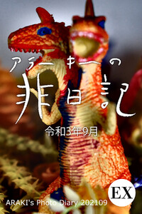 EXアラーキーの非日記 令和3年9月 ARAKI’s Photo Diary 202109 電子書籍版