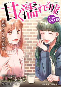 甘く濡れる嘘～結婚という名の復讐～ : 35