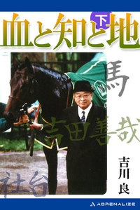 血と知と地 (下) 電子書籍版