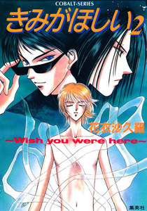 きみがほしい2～Wish you were here～ 電子書籍版