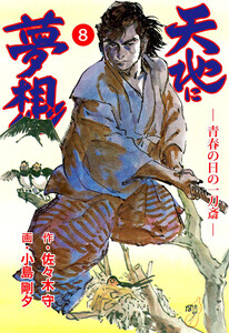 天地に夢想 (8) 電子書籍版