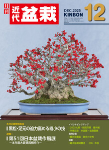 近代盆栽2025年12月号