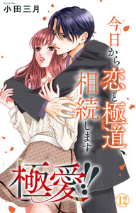 極愛!! 今日から恋と極道、相続します (12)