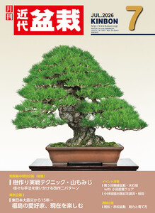 近代盆栽2026年7月号