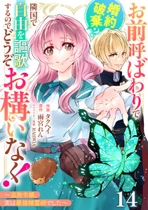 Berry’sFantasyお前呼ばわりで婚約破棄?隣国で自由を謳歌するのでどうぞお構いなく!～追放令嬢、実は最強精霊師でした～14巻