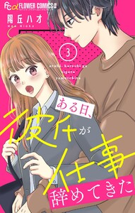ある日、彼氏が仕事辞めてきた【マイクロ】 (3) 電子書籍版