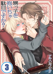 甥っ子を抱いちゃ駄目ですか?(3) 電子書籍版