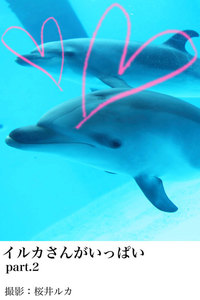 イルカさんがいっぱいpart.2 電子書籍版