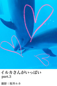 イルカさんがいっぱいpart.3 電子書籍版