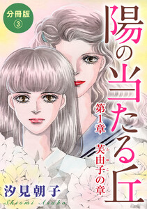 陽の当たる丘 分冊版3 第1章 芙由子の章 分冊版3 電子書籍版