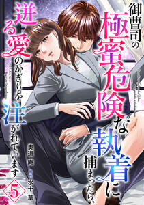 御曹司の極蜜危険な執着に捕まったら、迸る愛のかぎりを注がれています【分冊版】5話