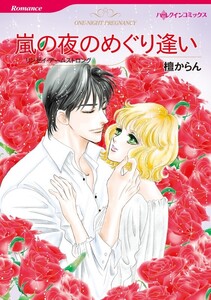 嵐の夜のめぐり逢い (分冊版)12話 電子書籍版