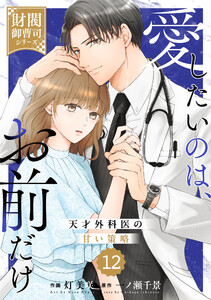 comic Berry’s愛したいのは、お前だけ～天才外科医の甘い策略～【財閥御曹司シリーズ】12巻