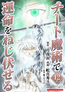 チート魔術で運命をねじ伏せる モバMAN DIGITAL COMICS (12)