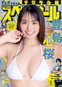 ビッグコミックスペリオール 2026年15号(2026年7月10日発売)