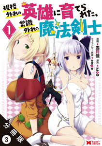規格外れの英雄に育てられた、常識外れの魔法剣士(コミック) 分冊版 : 3 電子書籍版