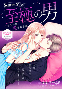 至極の男～もう一度愛される夜[comic tint] 分冊版 (22)