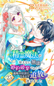 精霊魔法が使えない無能だと婚約破棄されたので、義妹の奴隷になるより追放を選びました (25)
