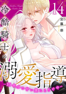 冷酷騎士の溺愛指導 -10年分の甘い愛にとろけ中- (14) 電子書籍版