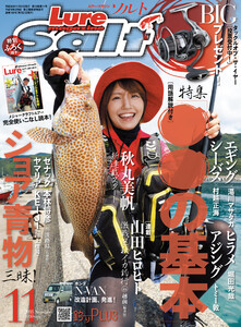 ルアーマガジンソルト2018年11月号 電子書籍版