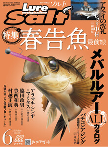 ルアーマガジンソルト2020年6月号 電子書籍版