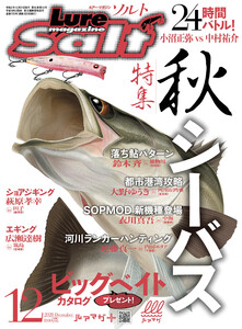 ルアーマガジンソルト2020年12月号 電子書籍版