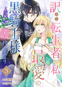 訳あり転生者の私、最愛の黒騎士様を護ります (3) 電子書籍版