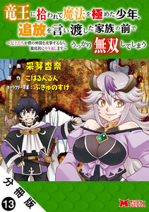 竜王に拾われて魔法を極めた少年、追放を言い渡した家族の前でうっかり無双してしまう～兄上たちが僕の仲間を攻撃するなら、徹底的にやり返します～(コミック) 分冊版 : 13 電子書籍版