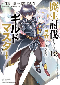 魔王討伐したあと、目立ちたくないのでギルドマスターになった12