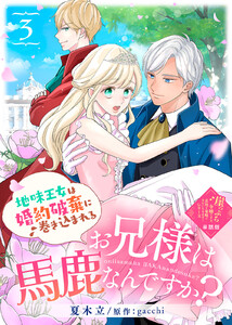 【単話版】お兄様は馬鹿なんですか?~地味王女は婚約破棄に巻き込まれる~(3)崖っぷち令嬢ですが、意地と策略で幸せになります!シリーズ 電子書籍版
