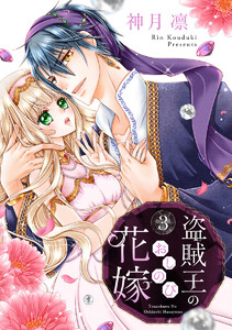 盗賊王のおしのび花嫁 (3) 電子書籍版